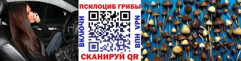 MEGA как зайти  Видное  Галлюциногенные грибы MAGIC MUSHROOMS 
