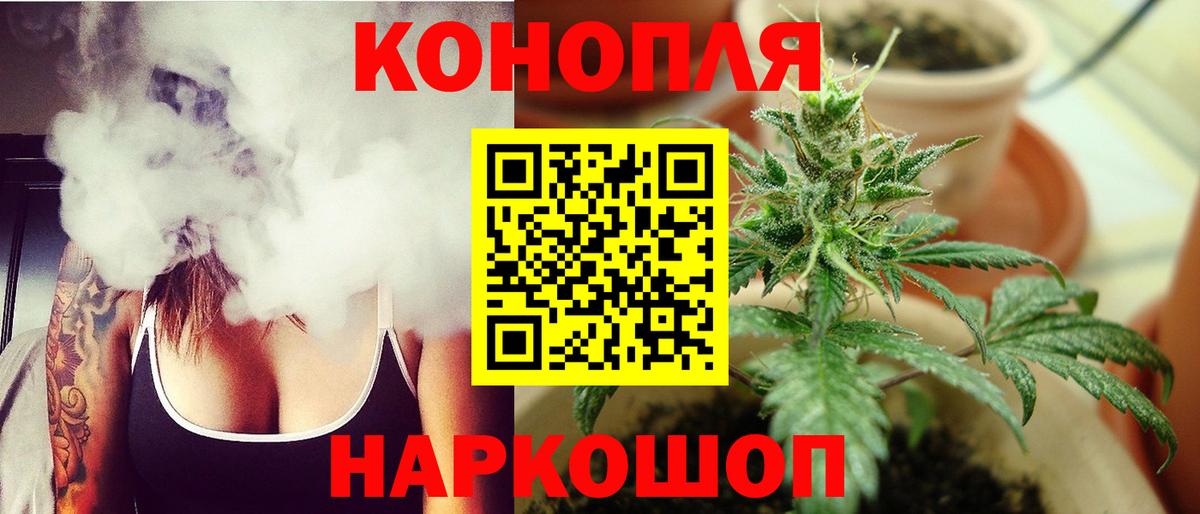 Шишки марихуана OG Kush  Вход с VPN  Шишки марихуана Amnesia  Видное  Шишки марихуана тримм 